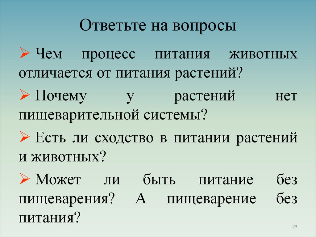 Ответьте на вопросы