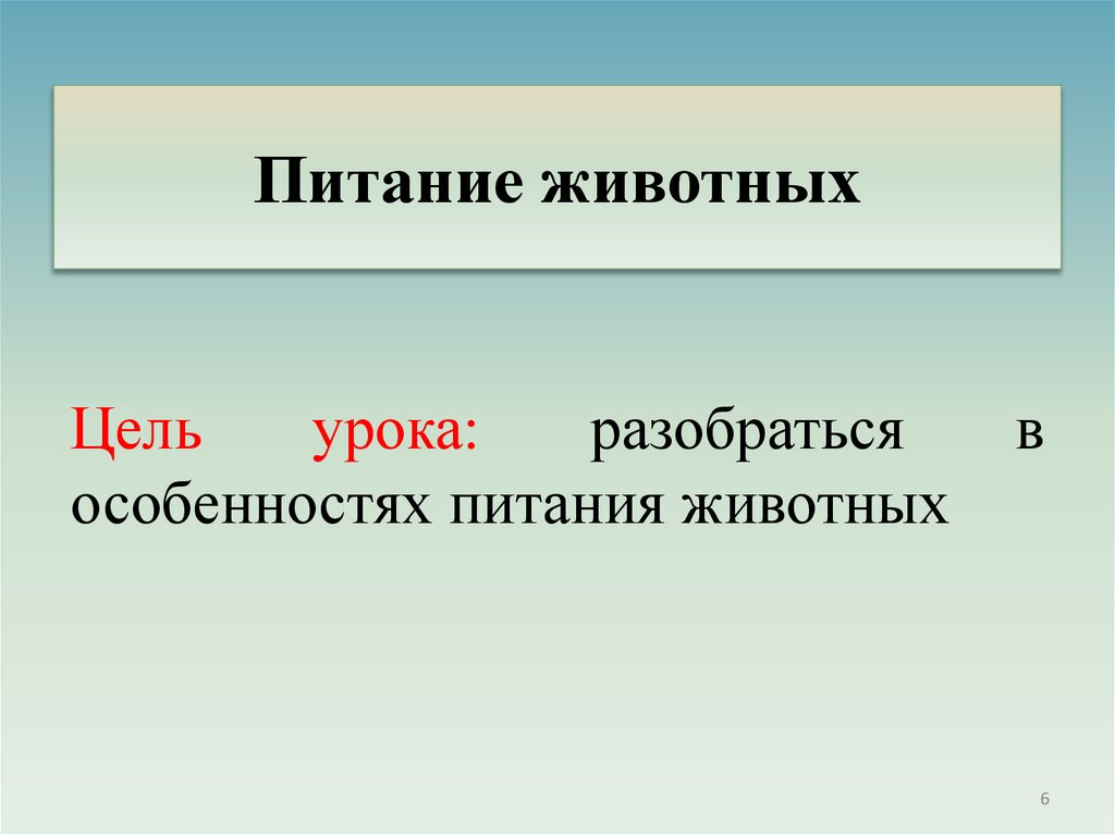 Питание животных