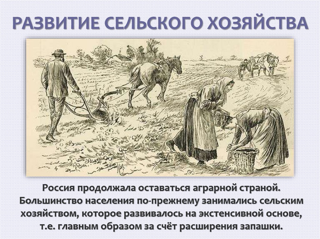 РАЗВИТИЕ СЕЛЬСКОГО ХОЗЯЙСТВА