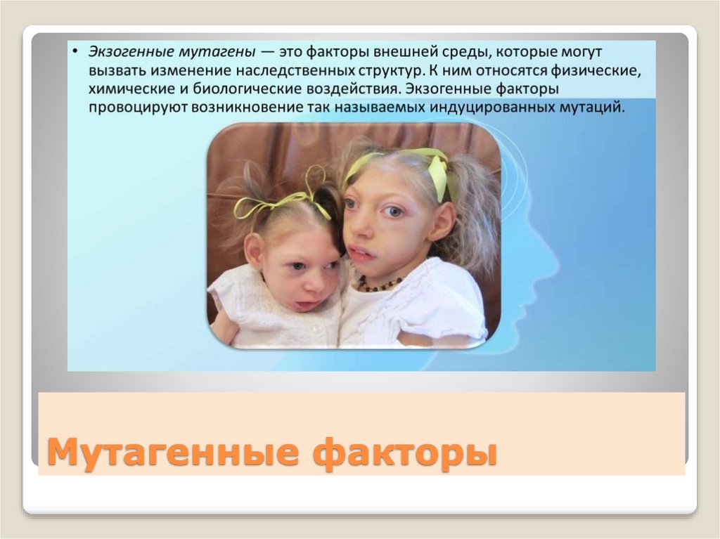 Мутагенные факторы