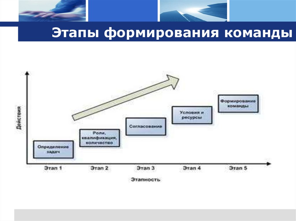Этапы формирования команды