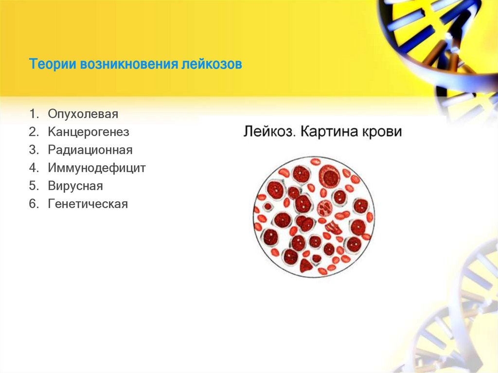 Теории возникновения лейкозов