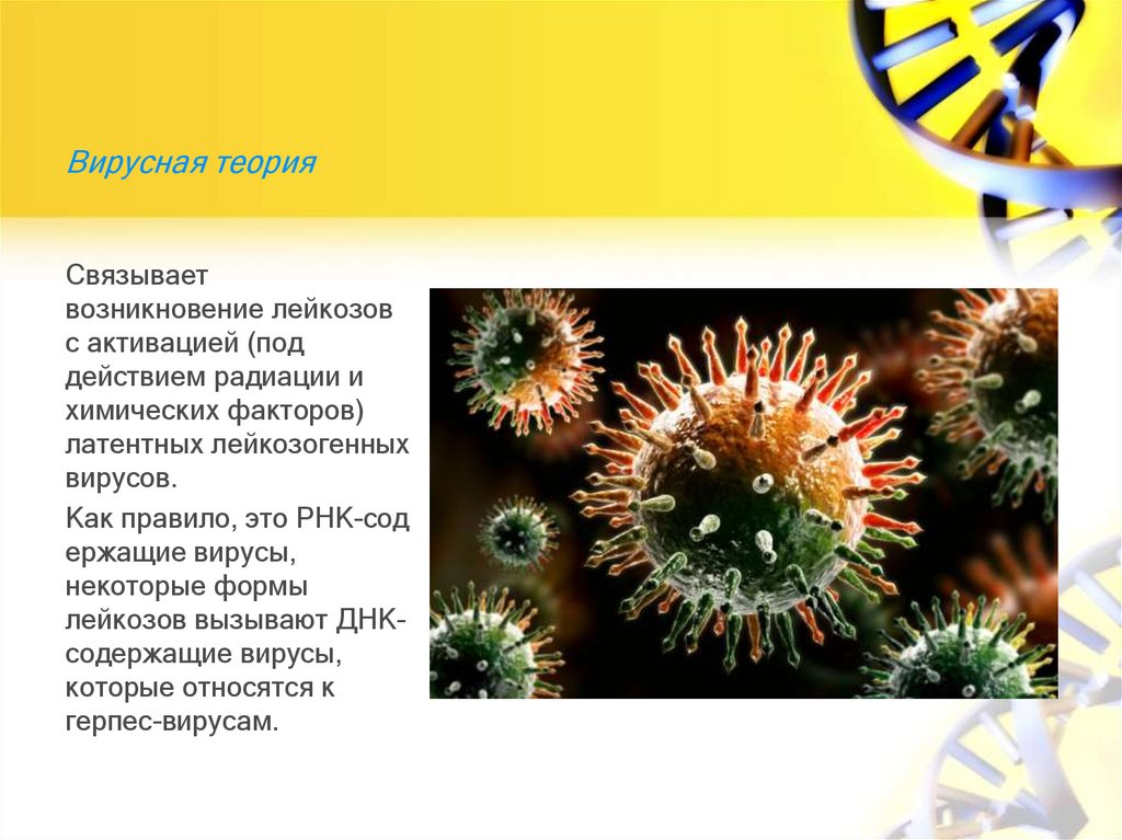 Вирусная теория 