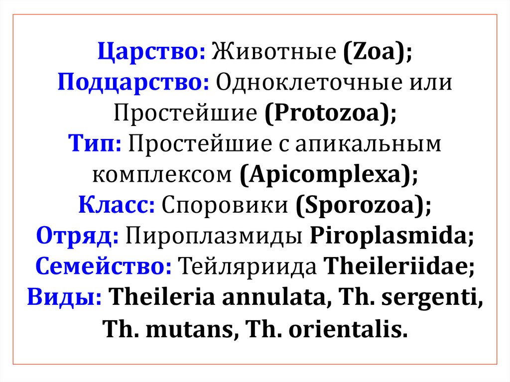 Царство: Животные (Zoa); Подцарство: Одноклеточные или Простейшие (Protozoa); Тип: Простейшие с апикальным комплексом
