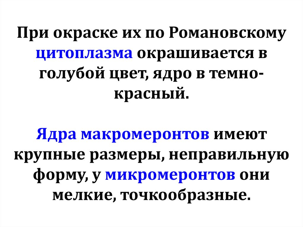 При окраске их по Романовскому цитоплазма окрашивается в голубой цвет, ядро в темно-красный. Ядра макромеронтов имеют крупные