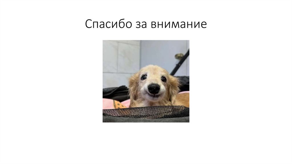 Спасибо за внимание