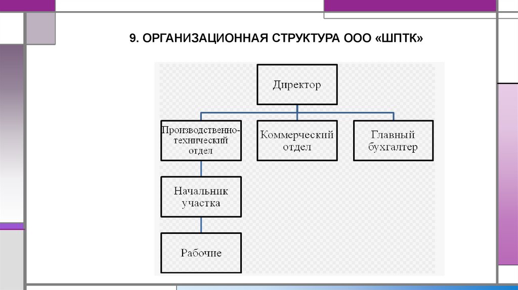 9. ОРГАНИЗАЦИОННАЯ СТРУКТУРА ООО «ШПТК»