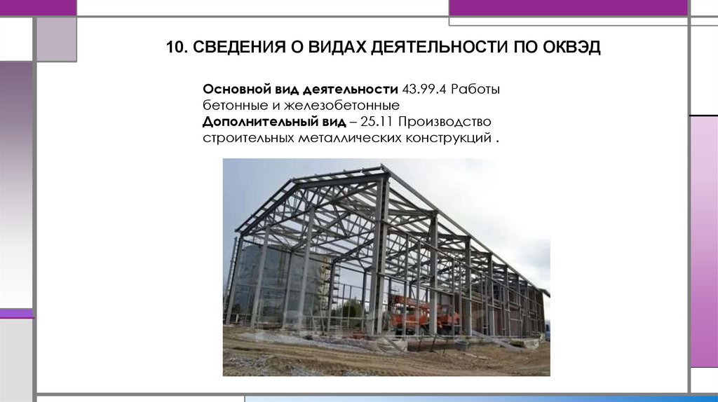 10. СВЕДЕНИЯ О ВИДАХ ДЕЯТЕЛЬНОСТИ ПО ОКВЭД