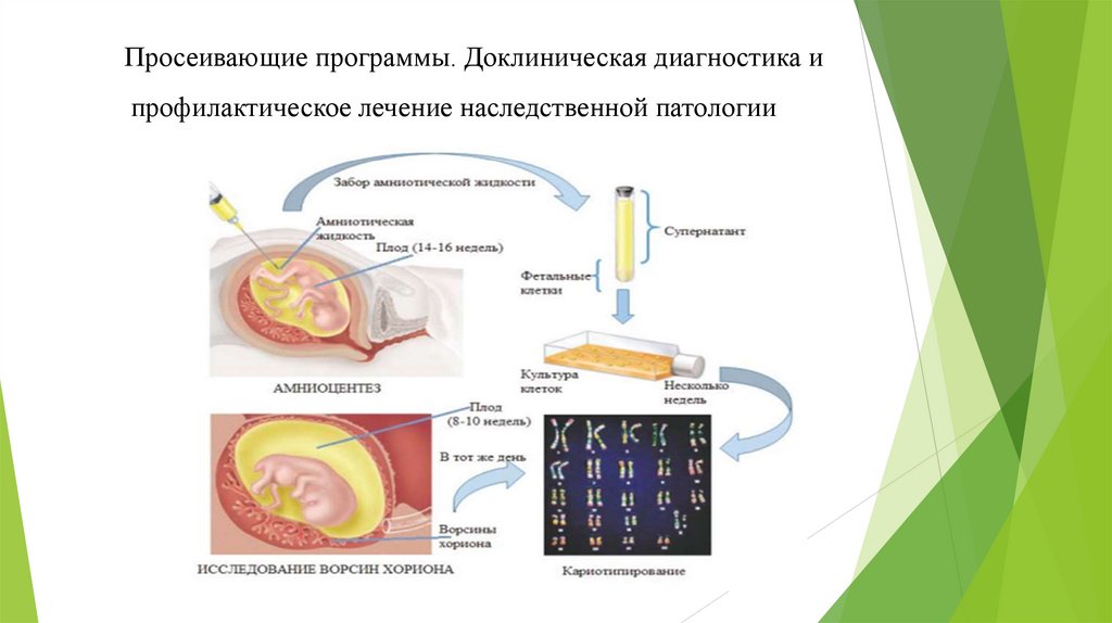 Просеивающие программы. Доклиническая диагностика и профилактическое лечение наследственной патологии