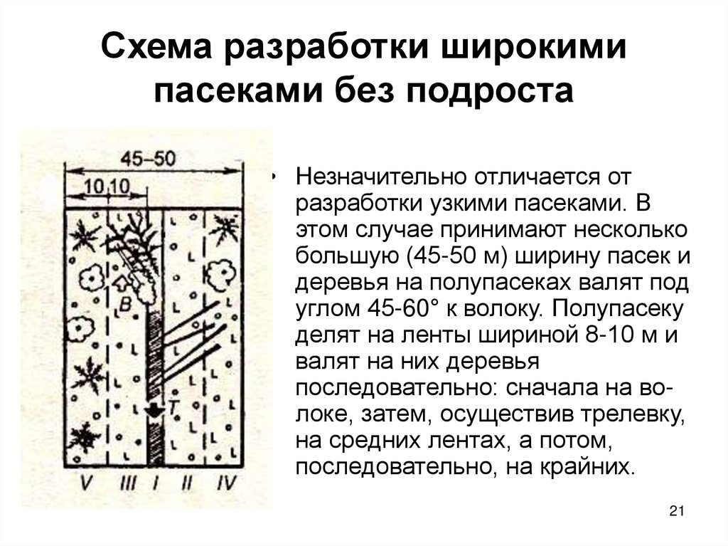 Схема разработки широкими пасеками без подроста