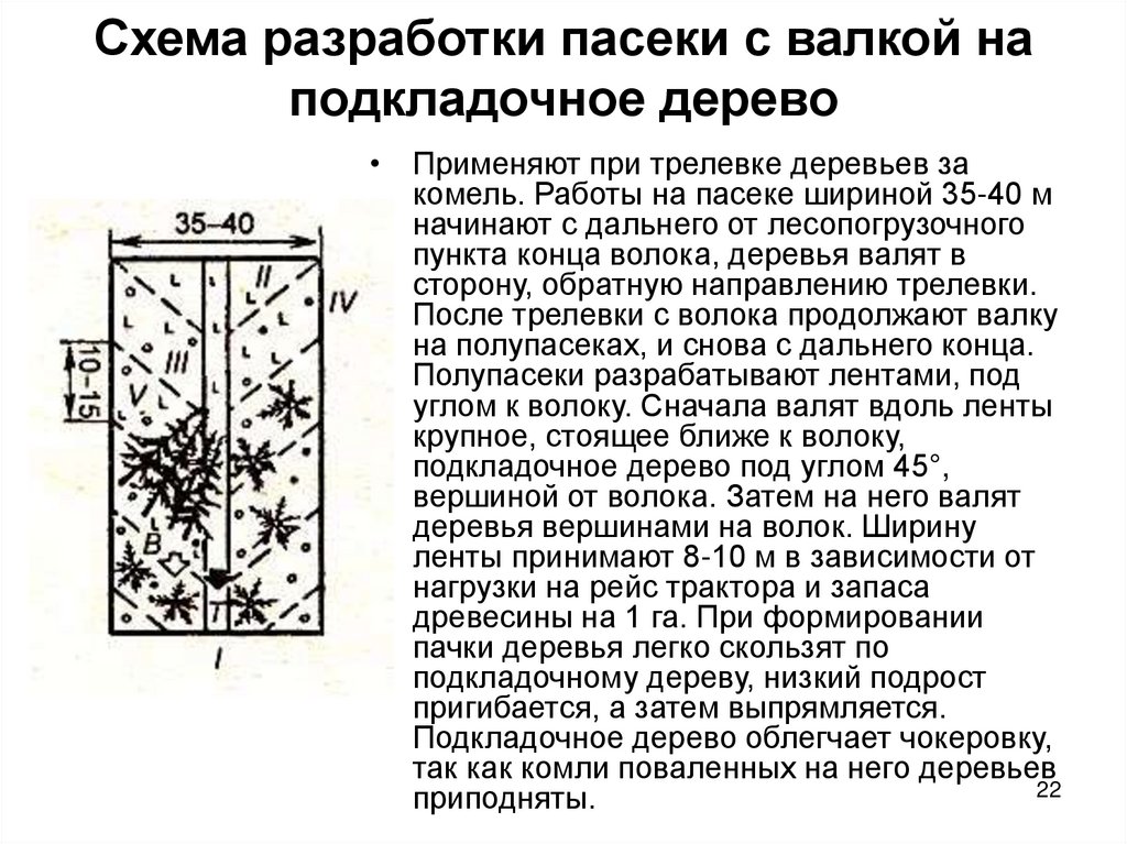 Схема разработки пасеки с валкой на подкладочное дерево