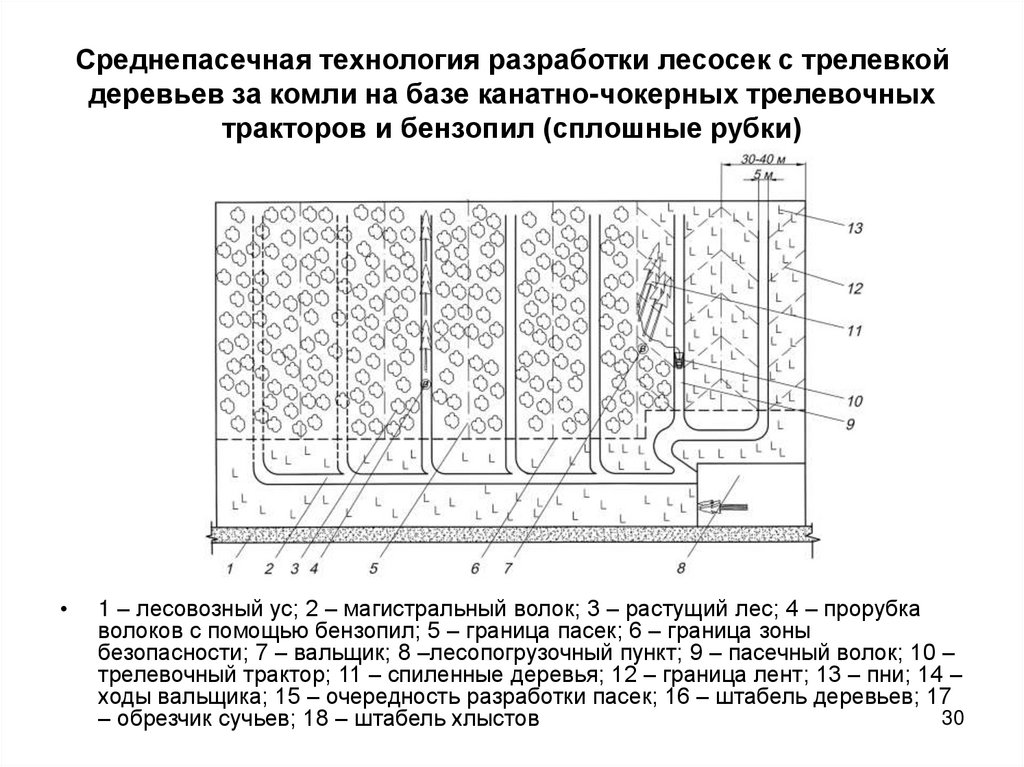 Среднепасечная технология разработки лесосек с трелевкой деревьев за комли на базе канатно-чокерных трелевочных тракторов и