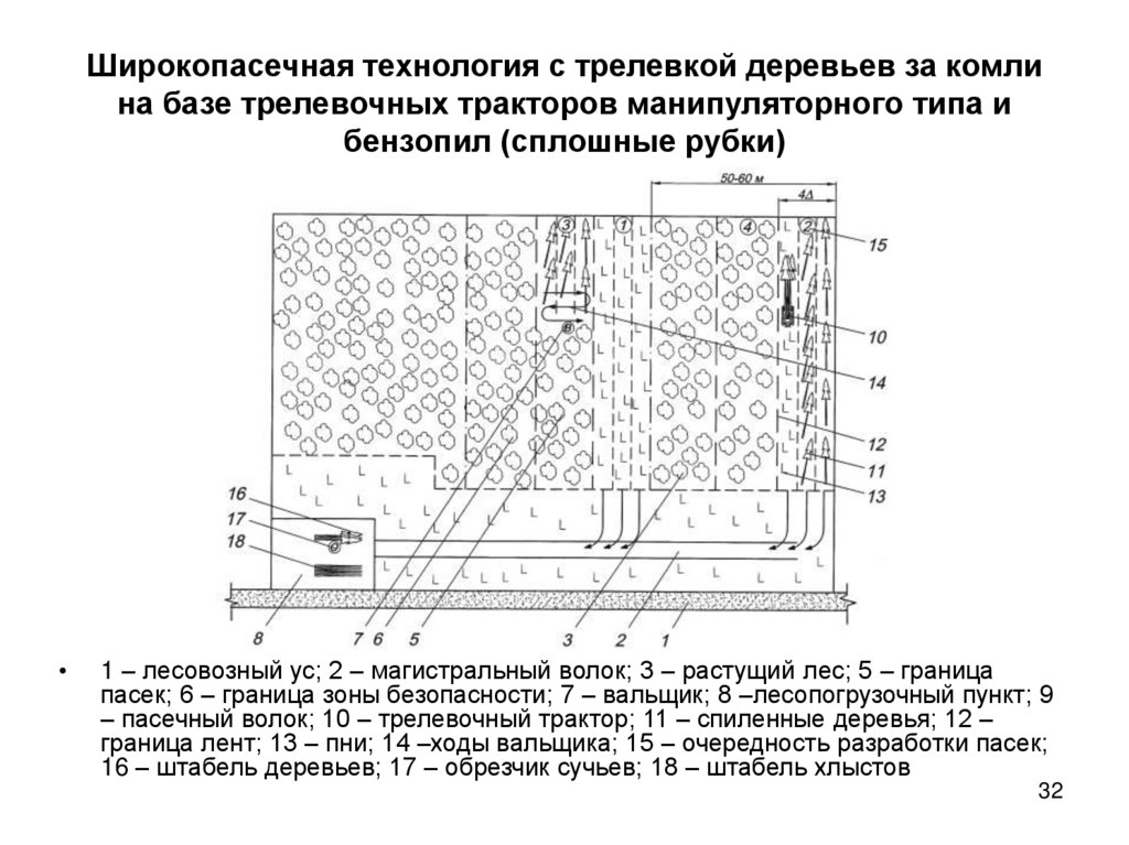 Широкопасечная технология с трелевкой деревьев за комли на базе трелевочных тракторов манипуляторного типа и бензопил (сплошные