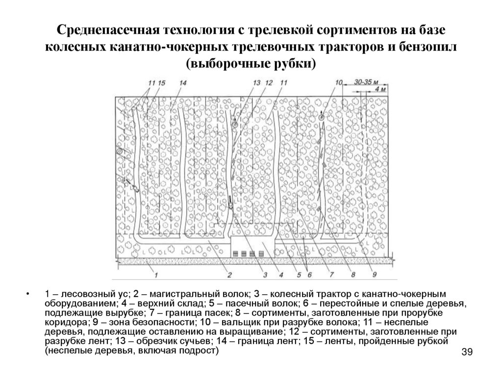 Среднепасечная технология с трелевкой сортиментов на базе колесных канатно-чокерных трелевочных тракторов и бензопил