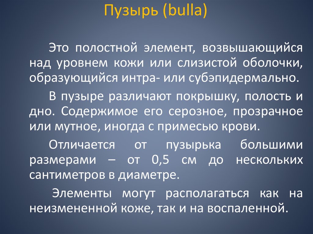 Пузырь (bulla)
