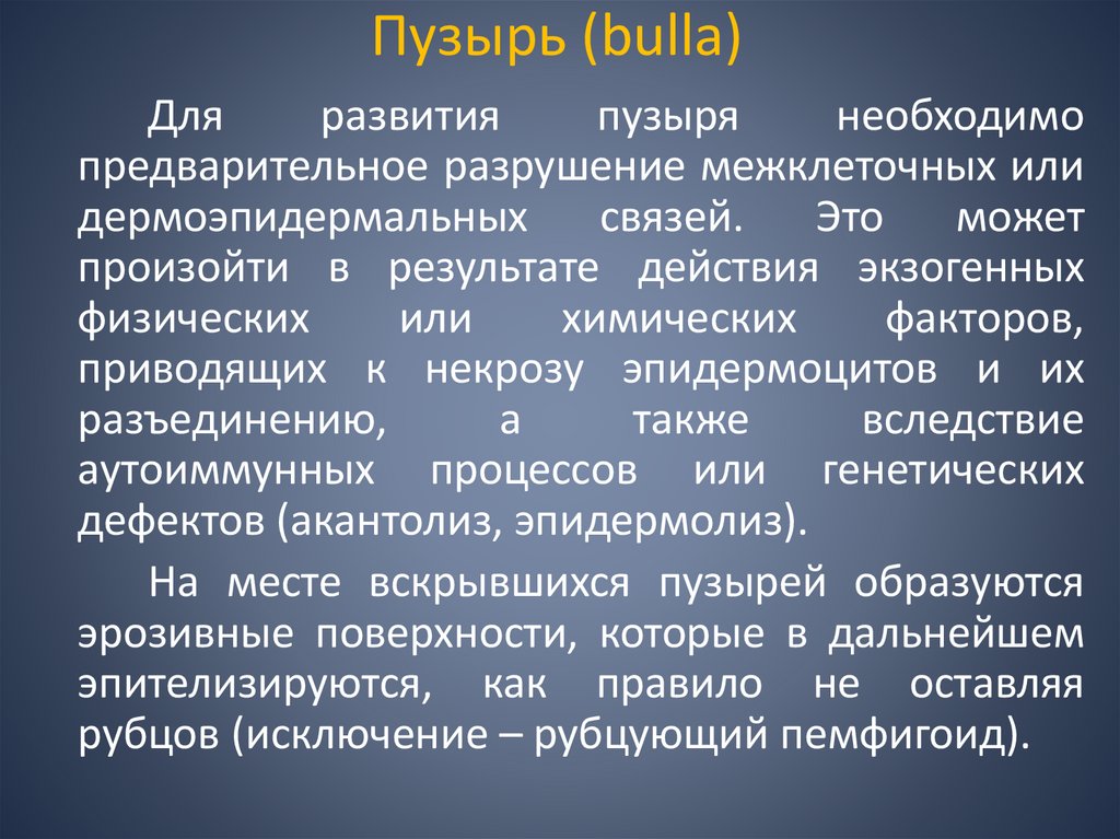Пузырь (bulla)