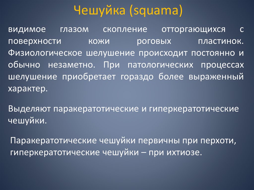 Чешуйка (squama)