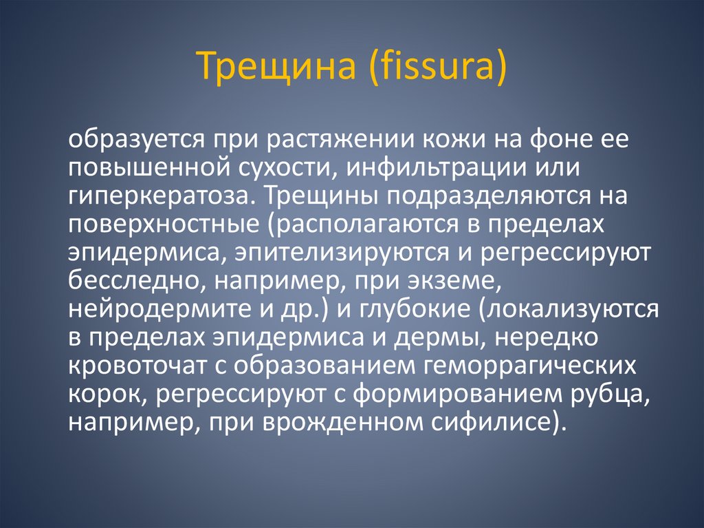 Трещина (fissura)