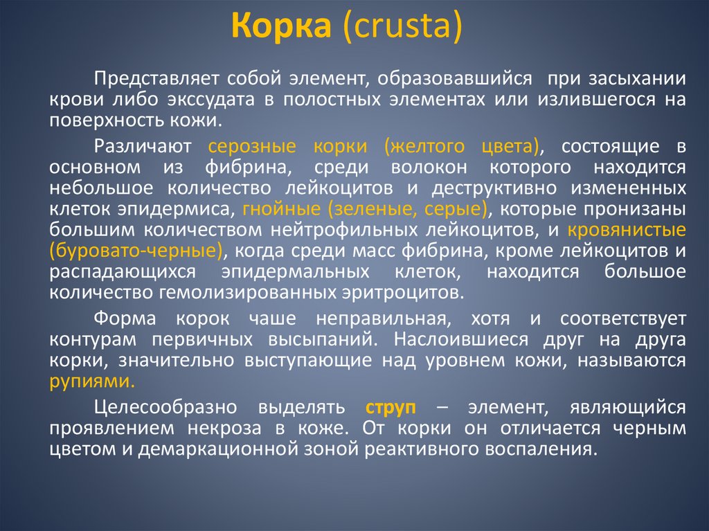 Корка (crusta)