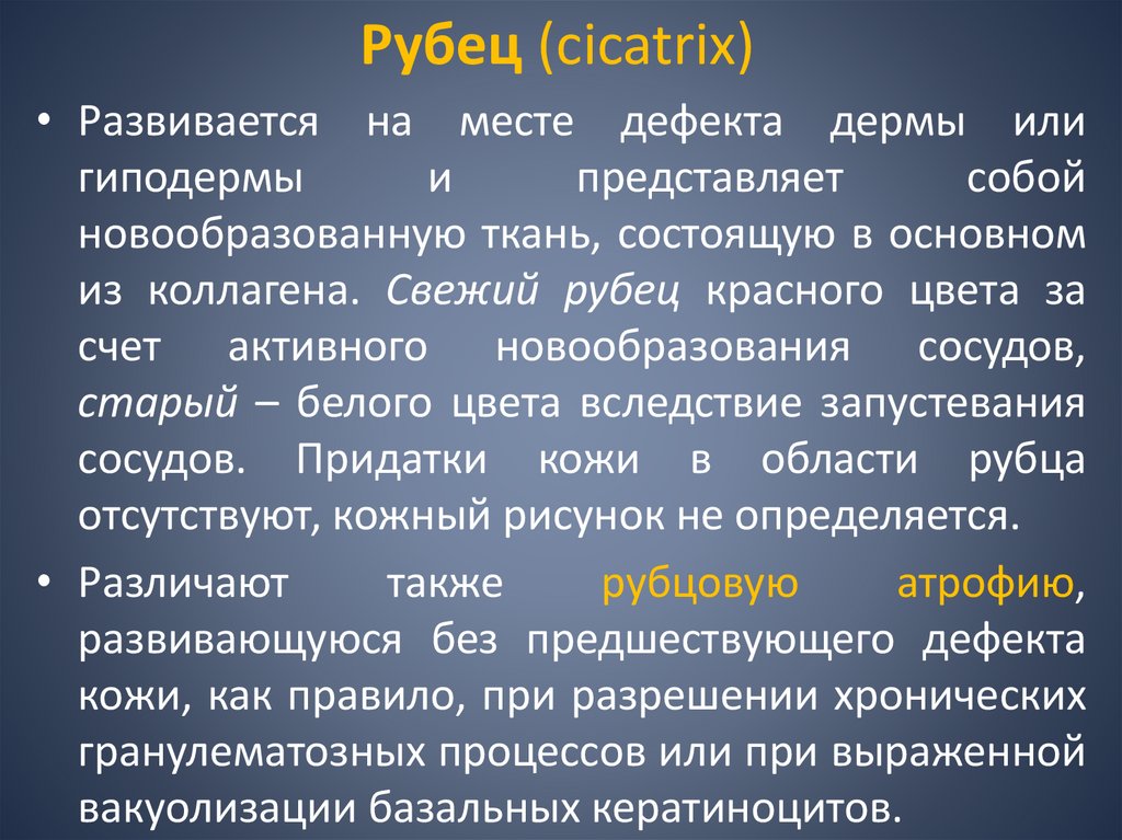 Рубец (cicatrix)