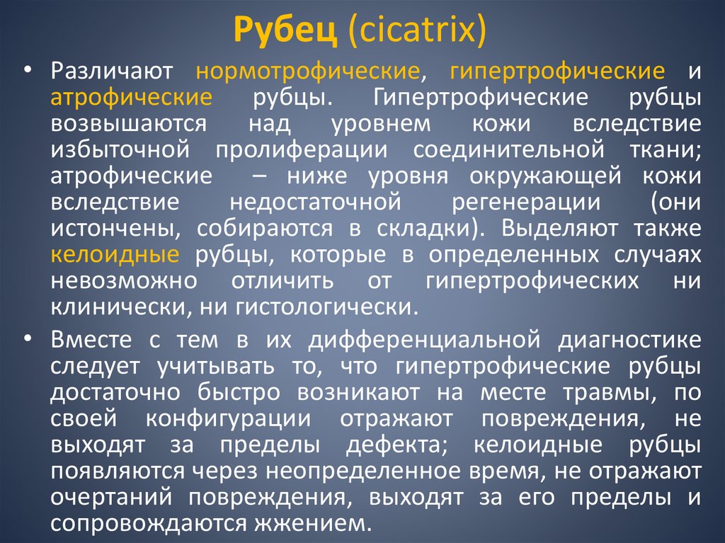 Рубец (cicatrix)