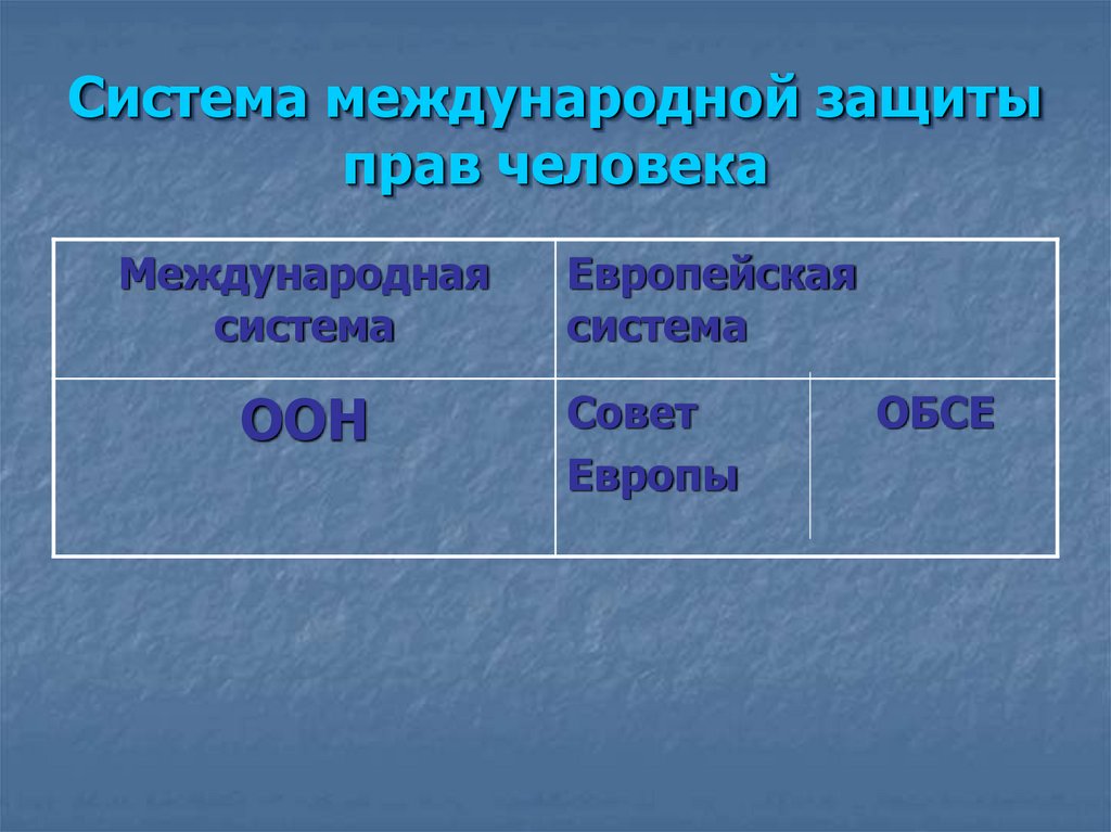 Система международной защиты прав человека