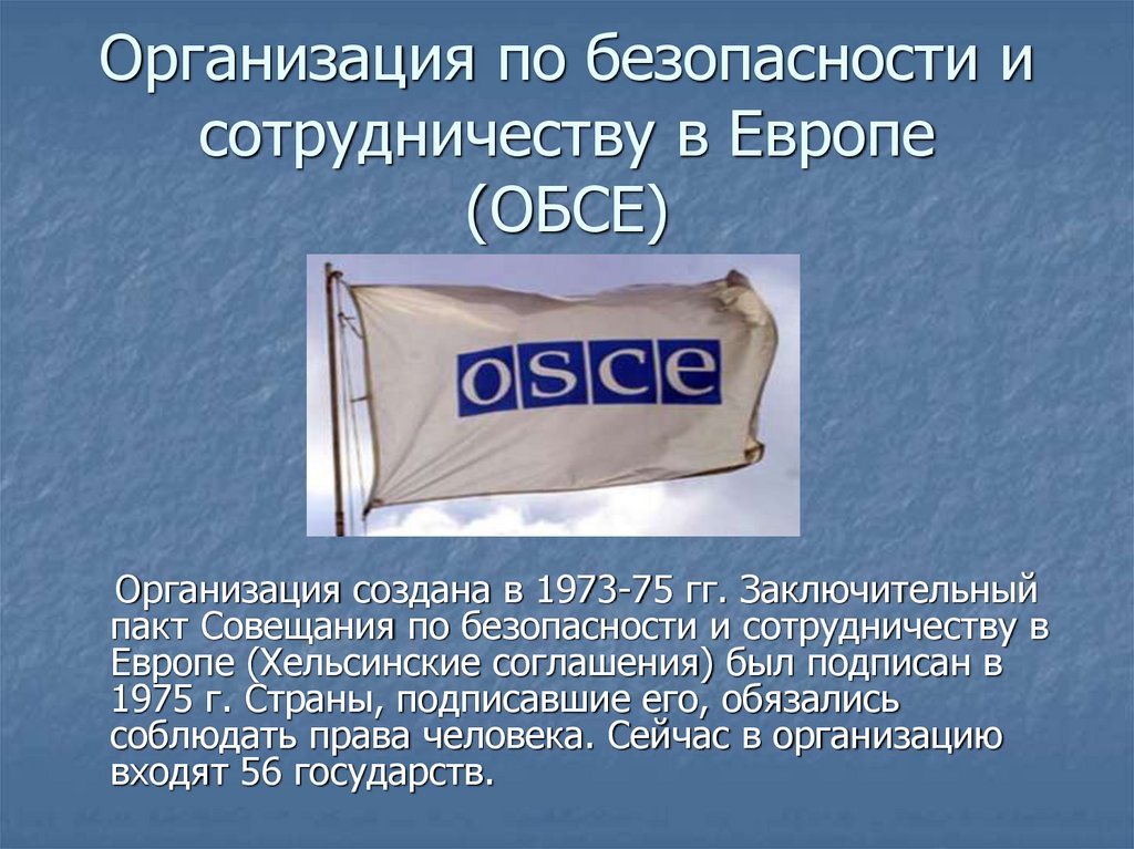 Организация по безопасности и сотрудничеству в Европе (ОБСЕ)
