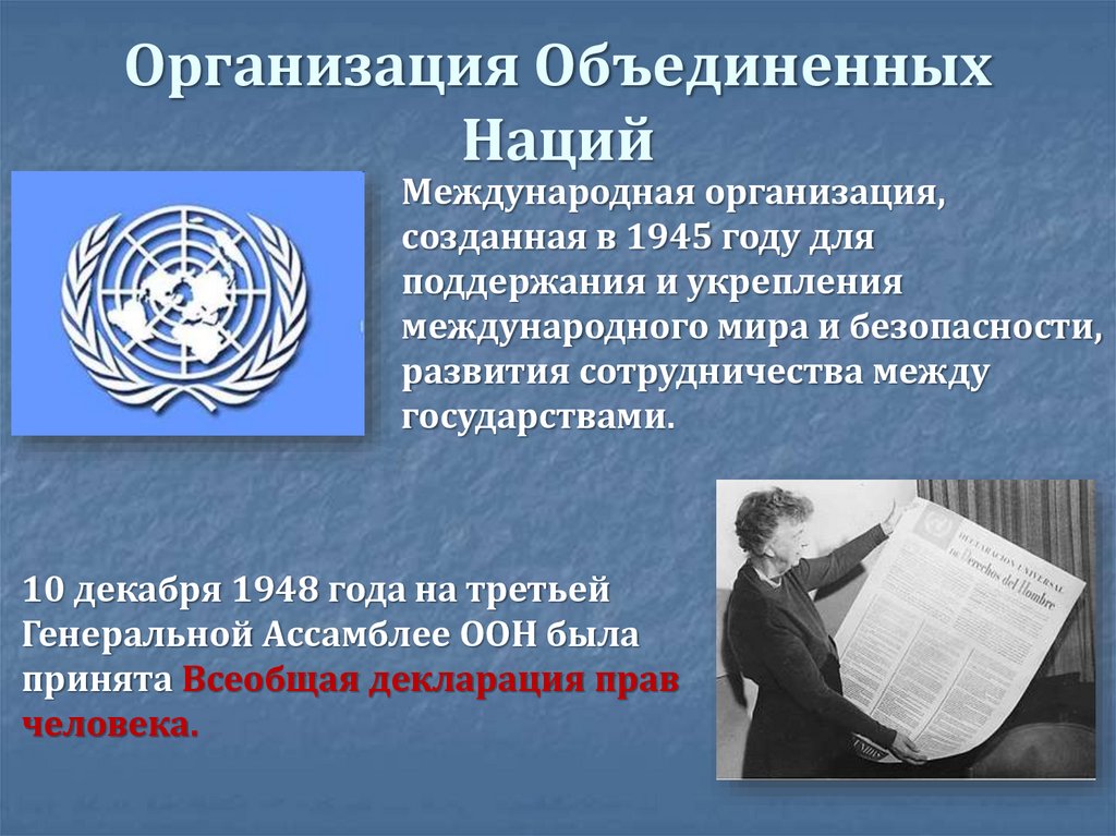 Организация Объединенных Наций