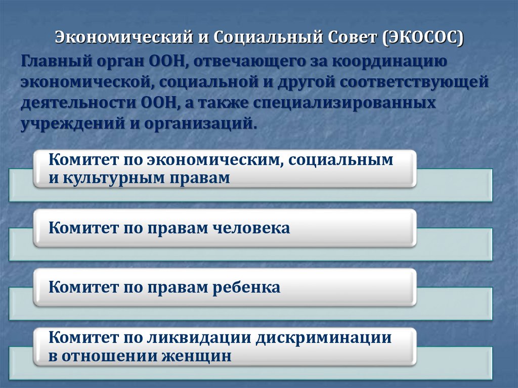 Экономический и Социальный Совет (ЭКОСОС)