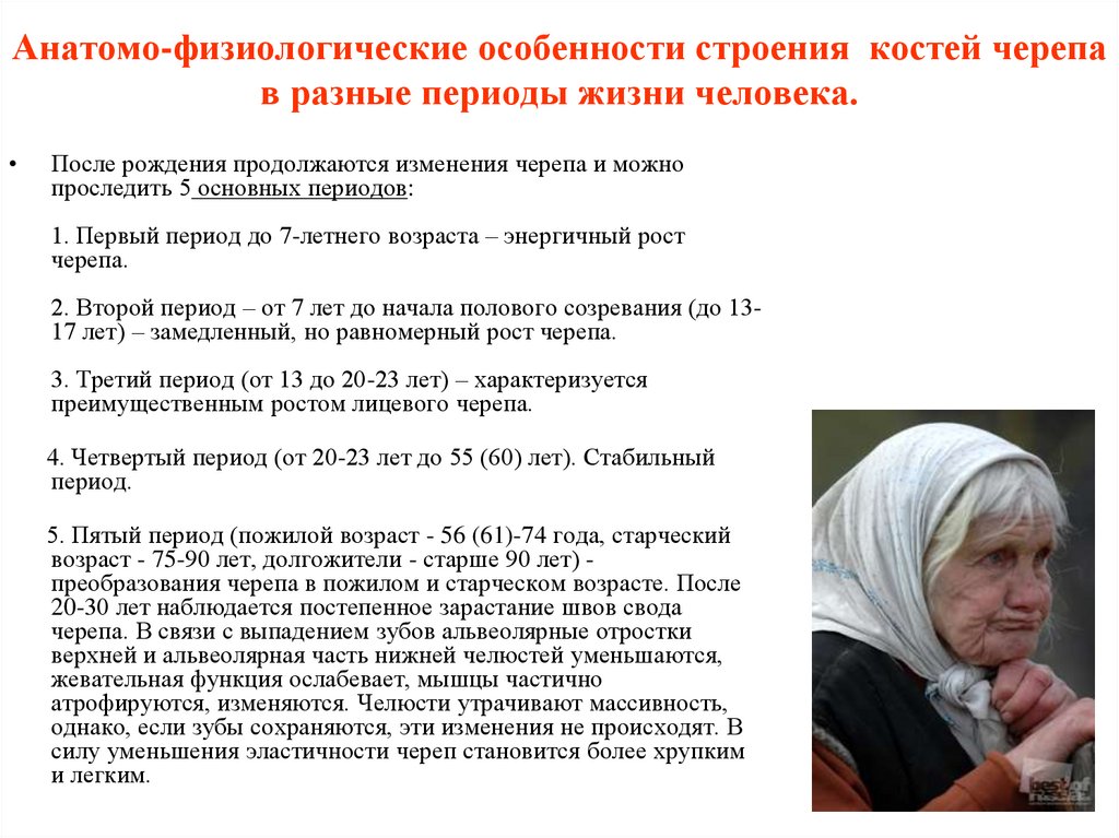 Анатомо-физиологические особенности строения костей черепа в разные периоды жизни человека.