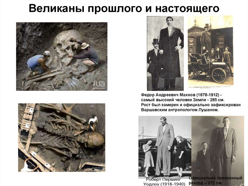 Великаны прошлого и настоящего