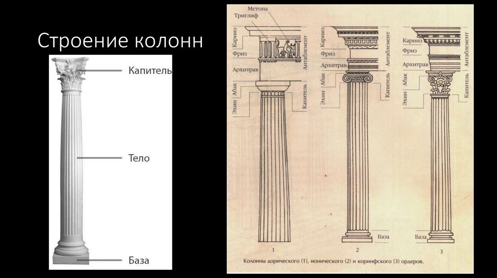 Строение колонн
