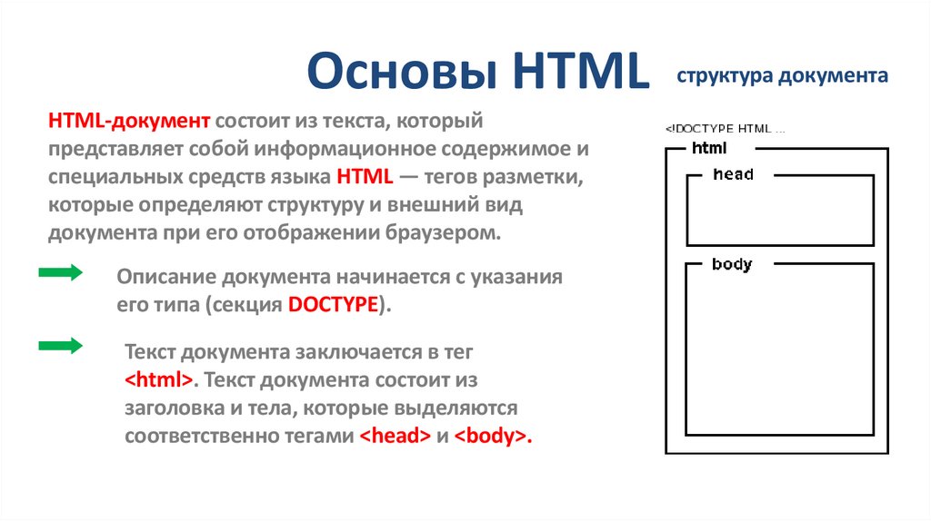 Основы HTML