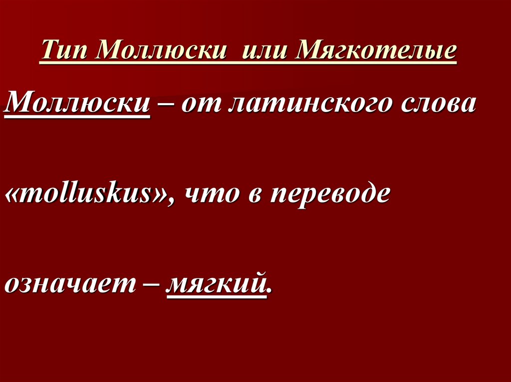Тип Моллюски или Мягкотелые