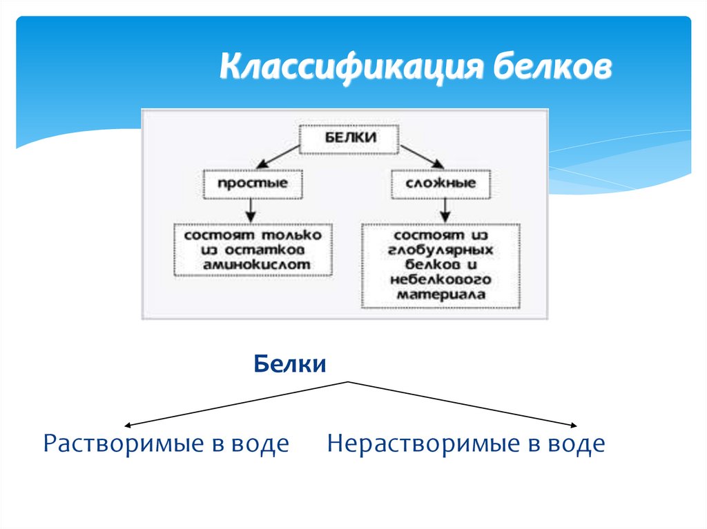 Классификация белков