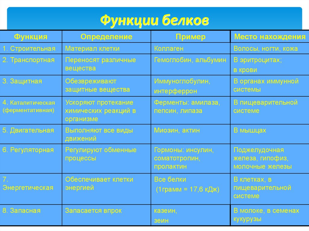 Функции белков