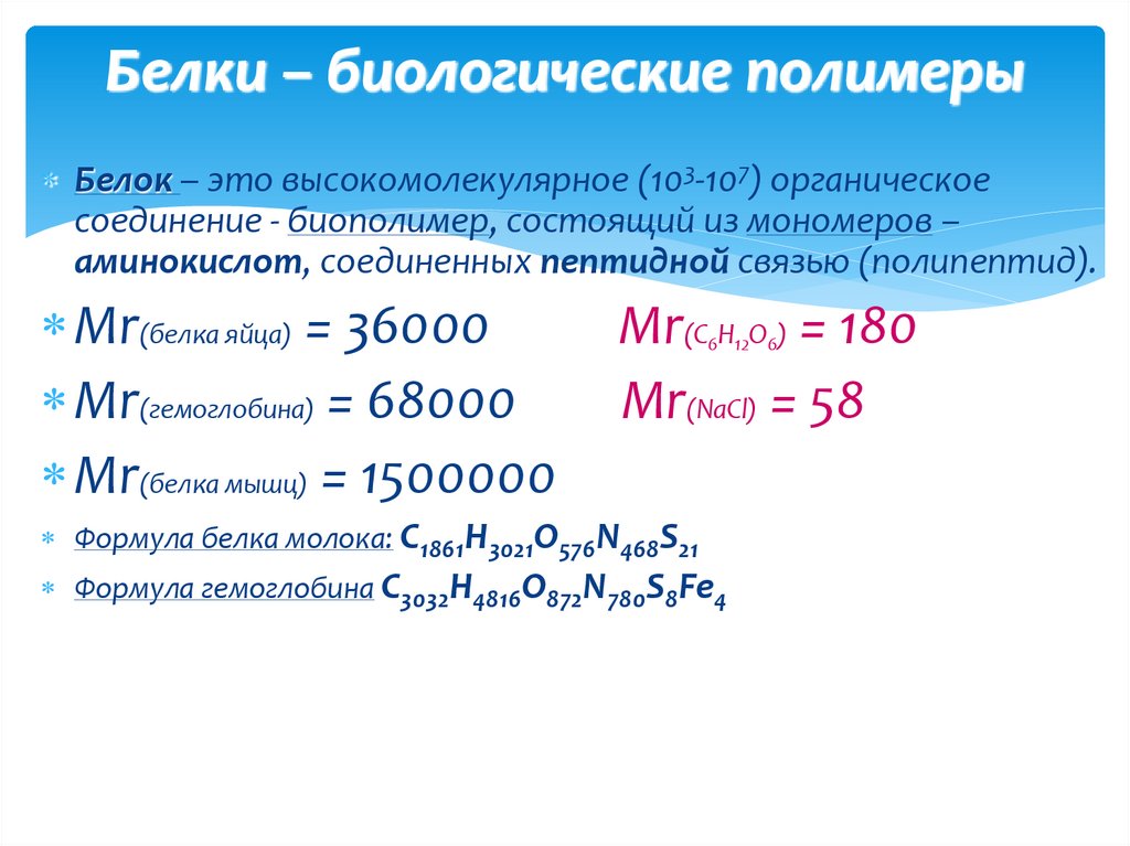 Белки – биологические полимеры