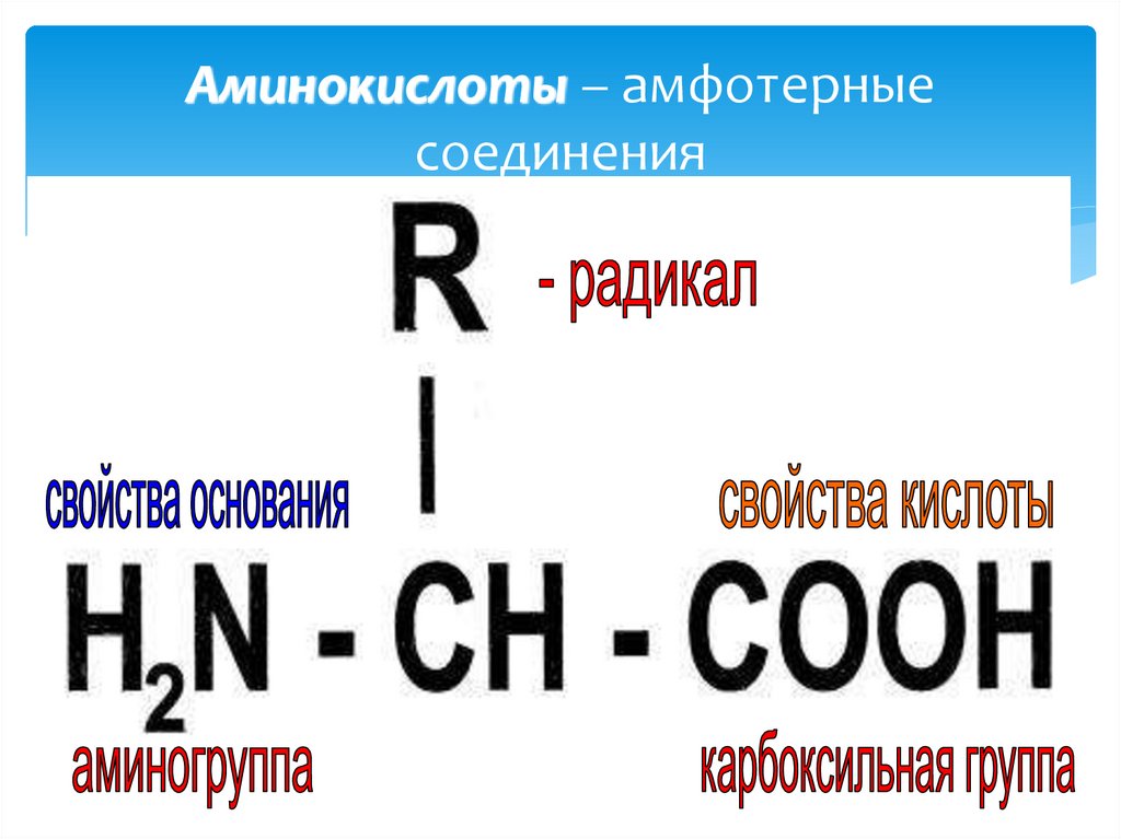Аминокислоты – амфотерные соединения