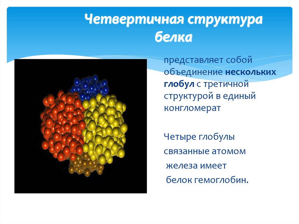 Четвертичная структура белка