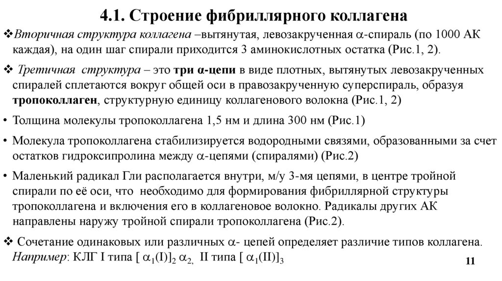 4.1. Строение фибриллярного коллагена