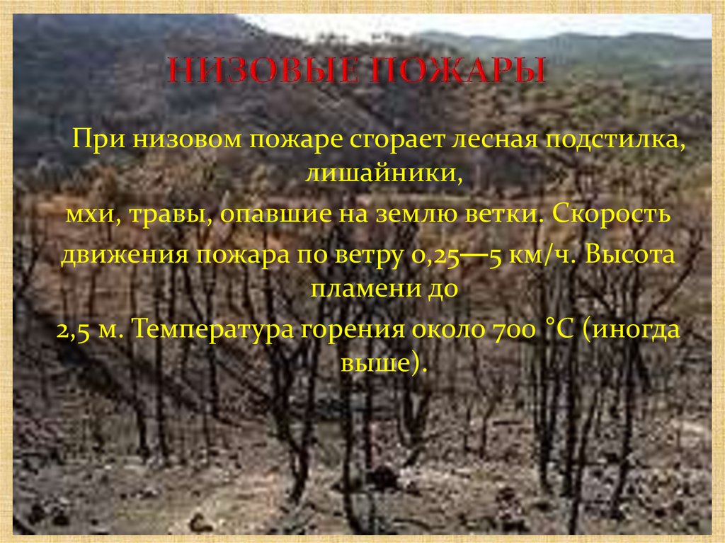 НИЗОВЫЕ ПОЖАРЫ