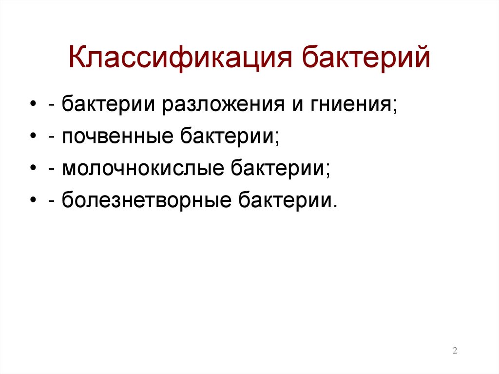 Классификация бактерий