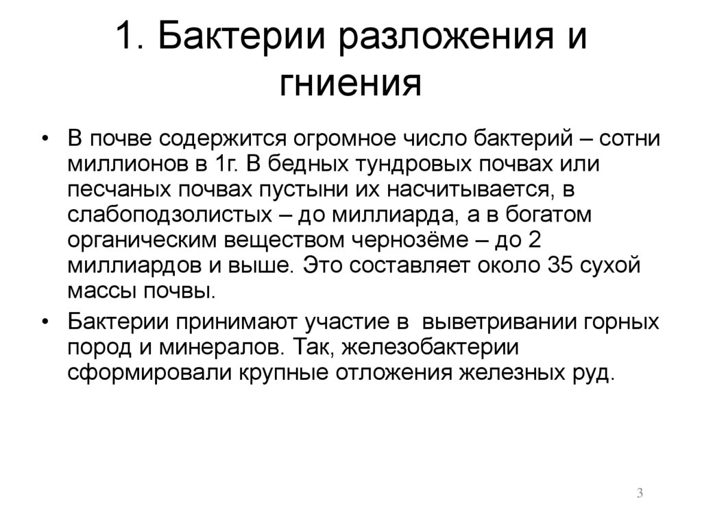 1. Бактерии разложения и гниения