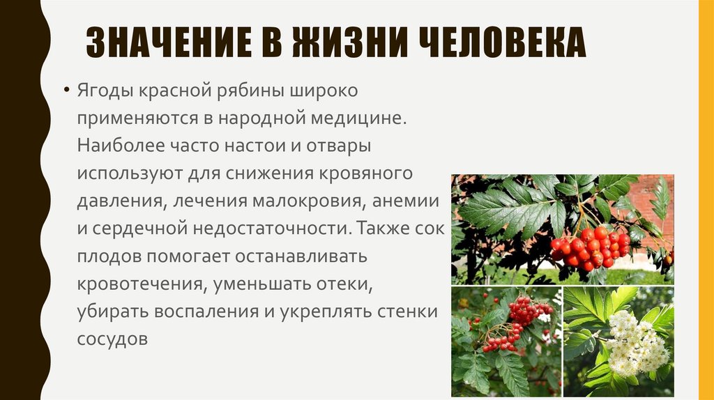 значение в жизни человека