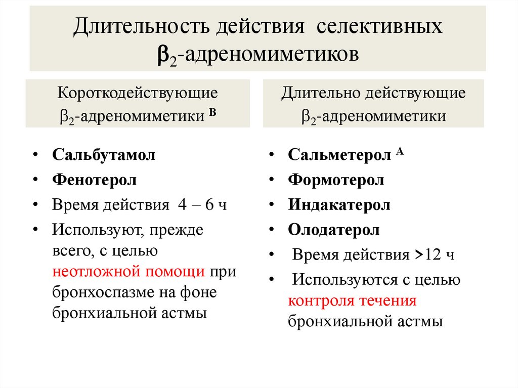 Длительность действия селективных 2-адреномиметиков