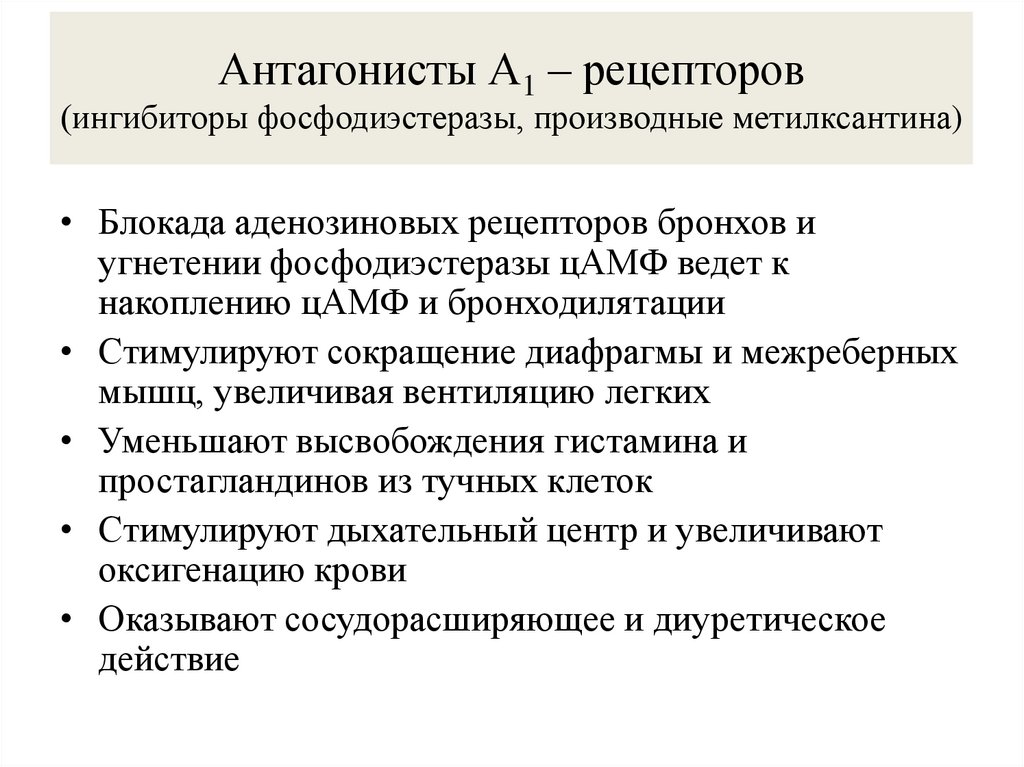 Антагонисты А1 – рецепторов (ингибиторы фосфодиэстеразы, производные метилксантина)