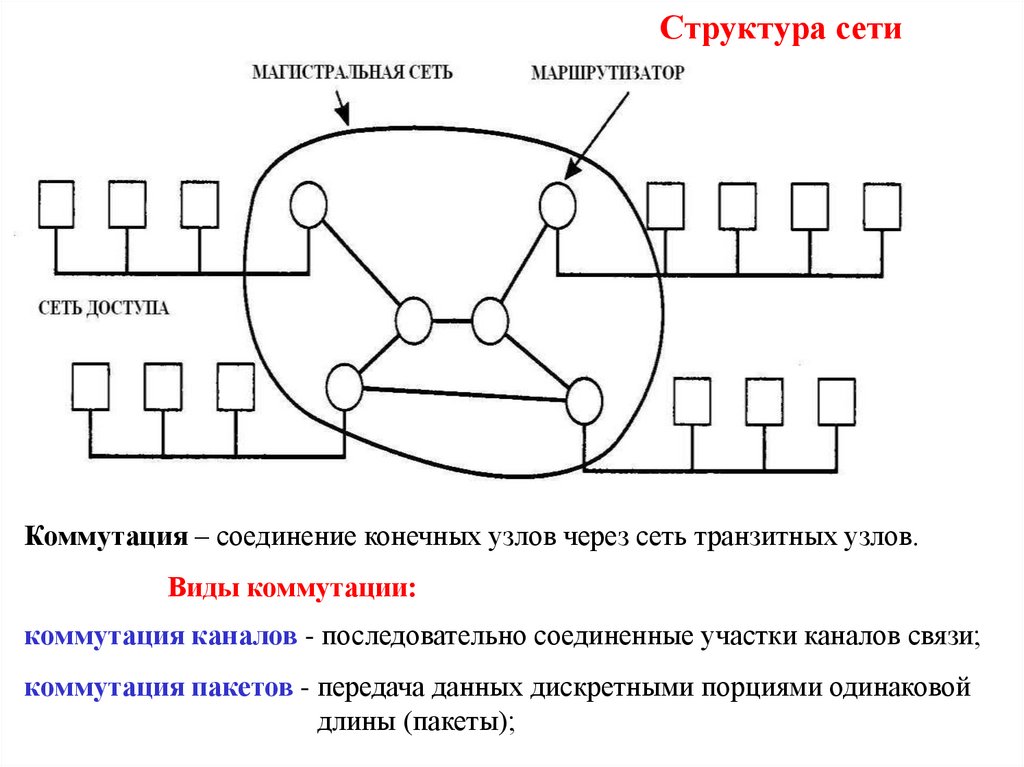 Структура сети