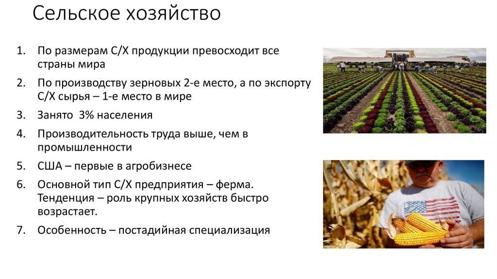 Сельское хозяйство