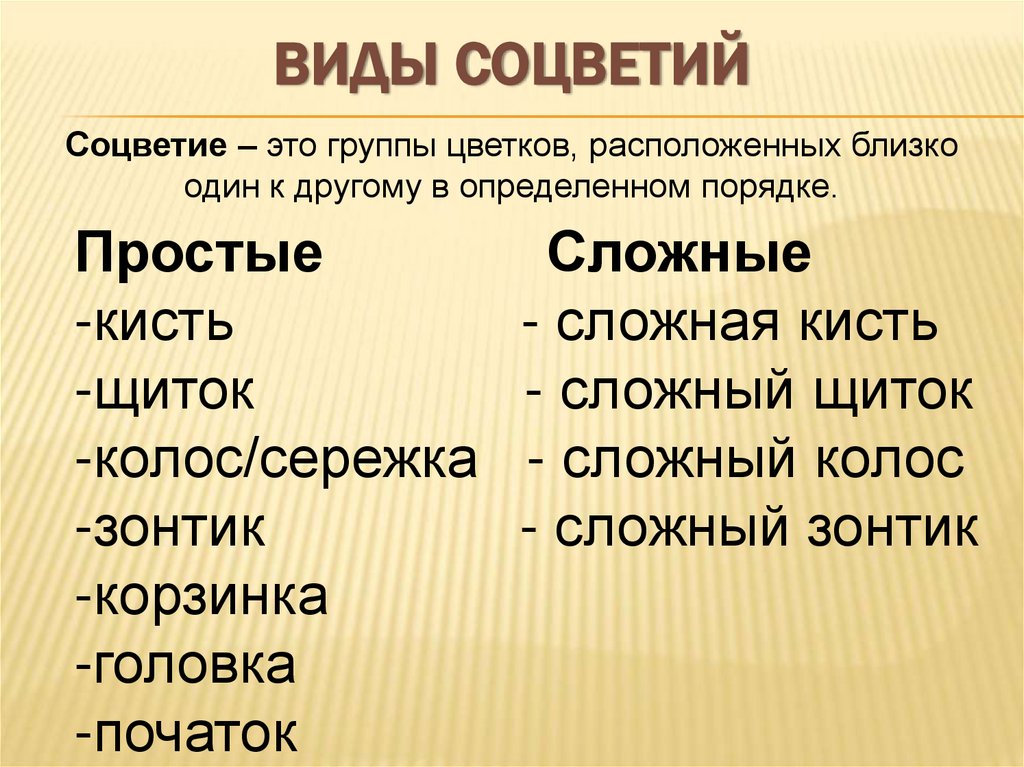 Виды соцветий