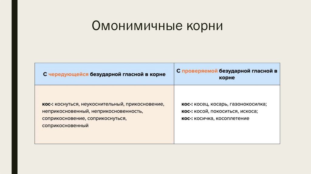 Омонимичные корни